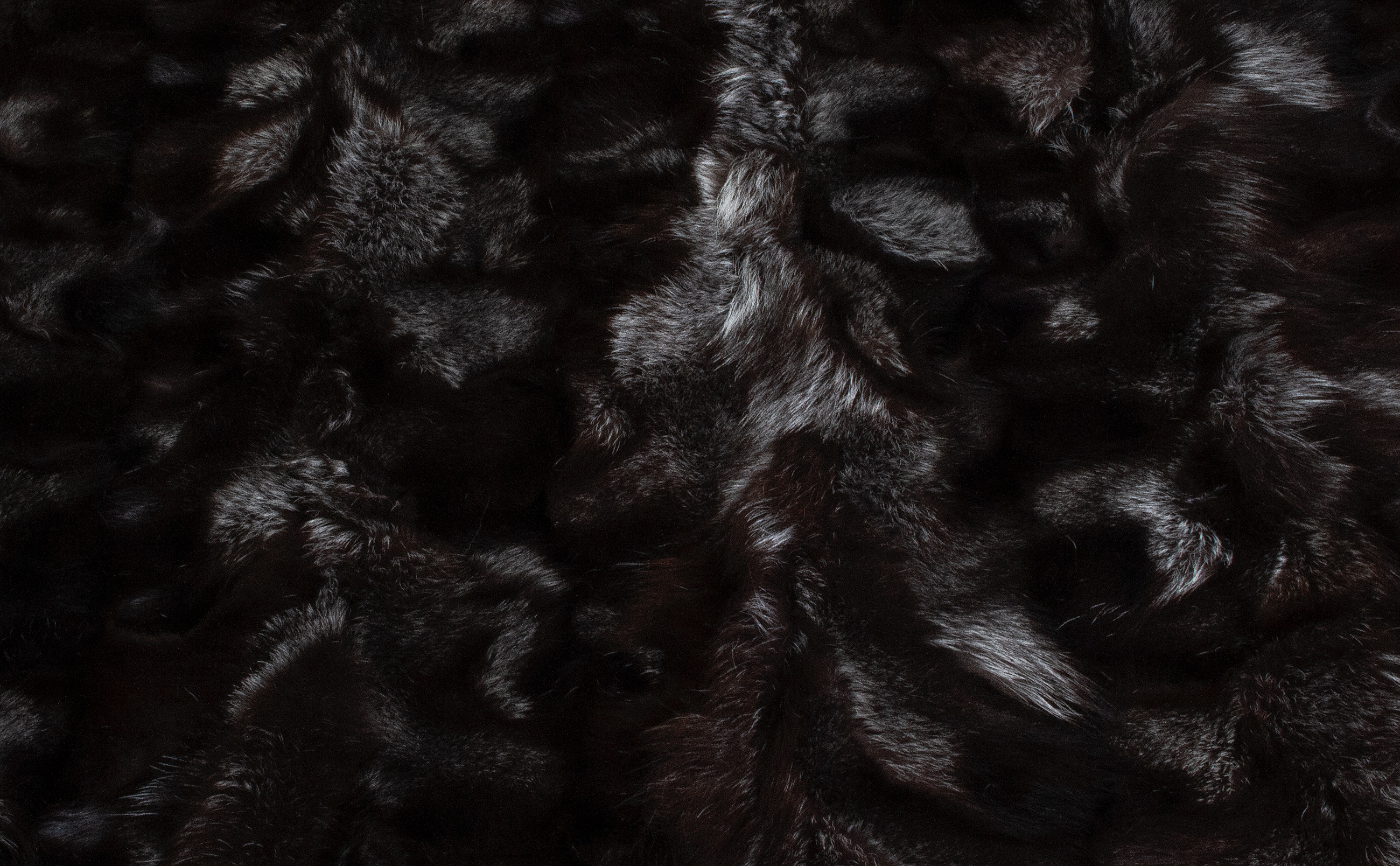 Silver Fox Carpet