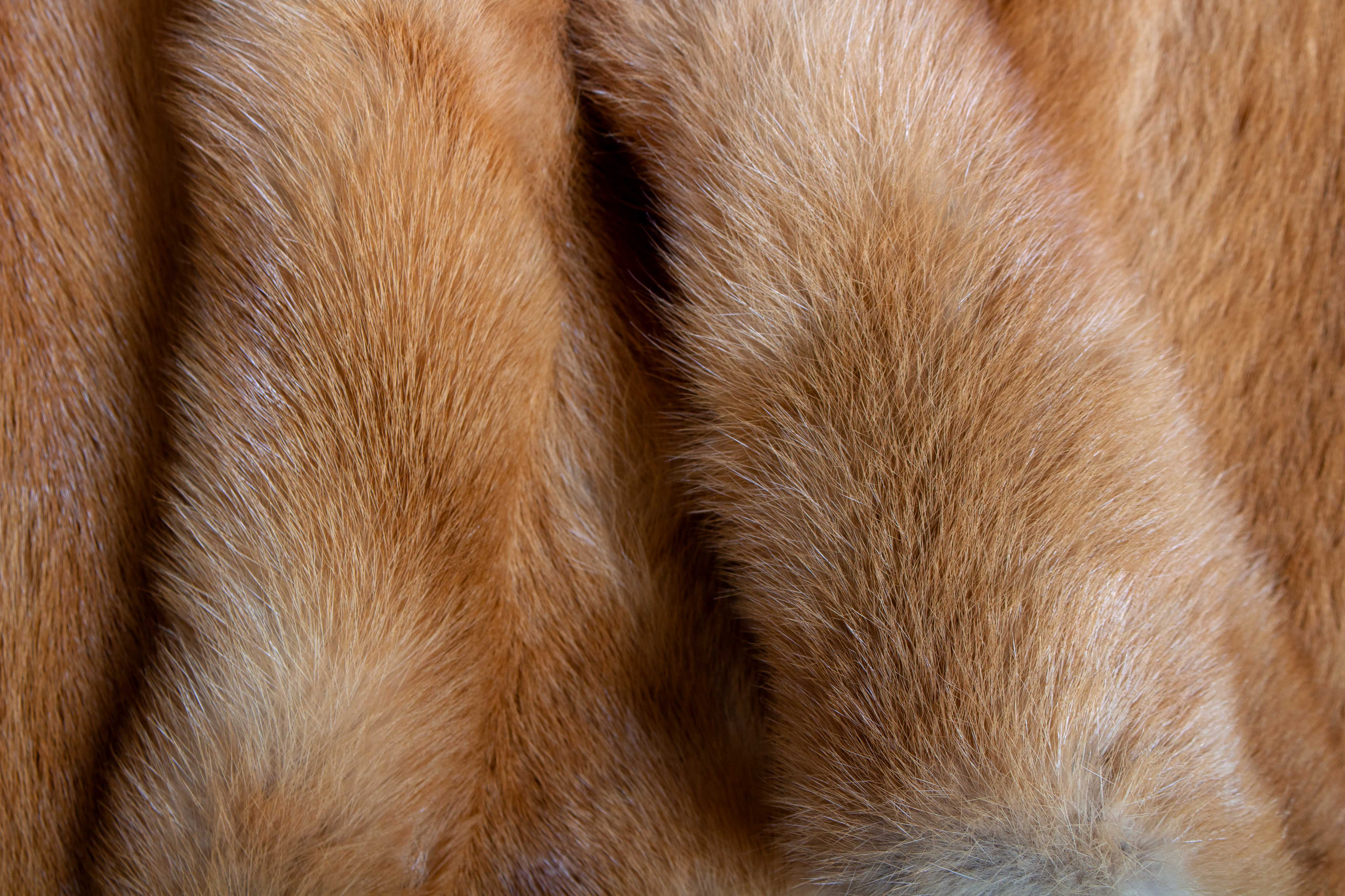 6-1547-Russischer-Kolinsky-Wiesel-Pelzteppich-Echtfell-Paustian Weasel Fur Rug - Russian Kolinsky Carpet