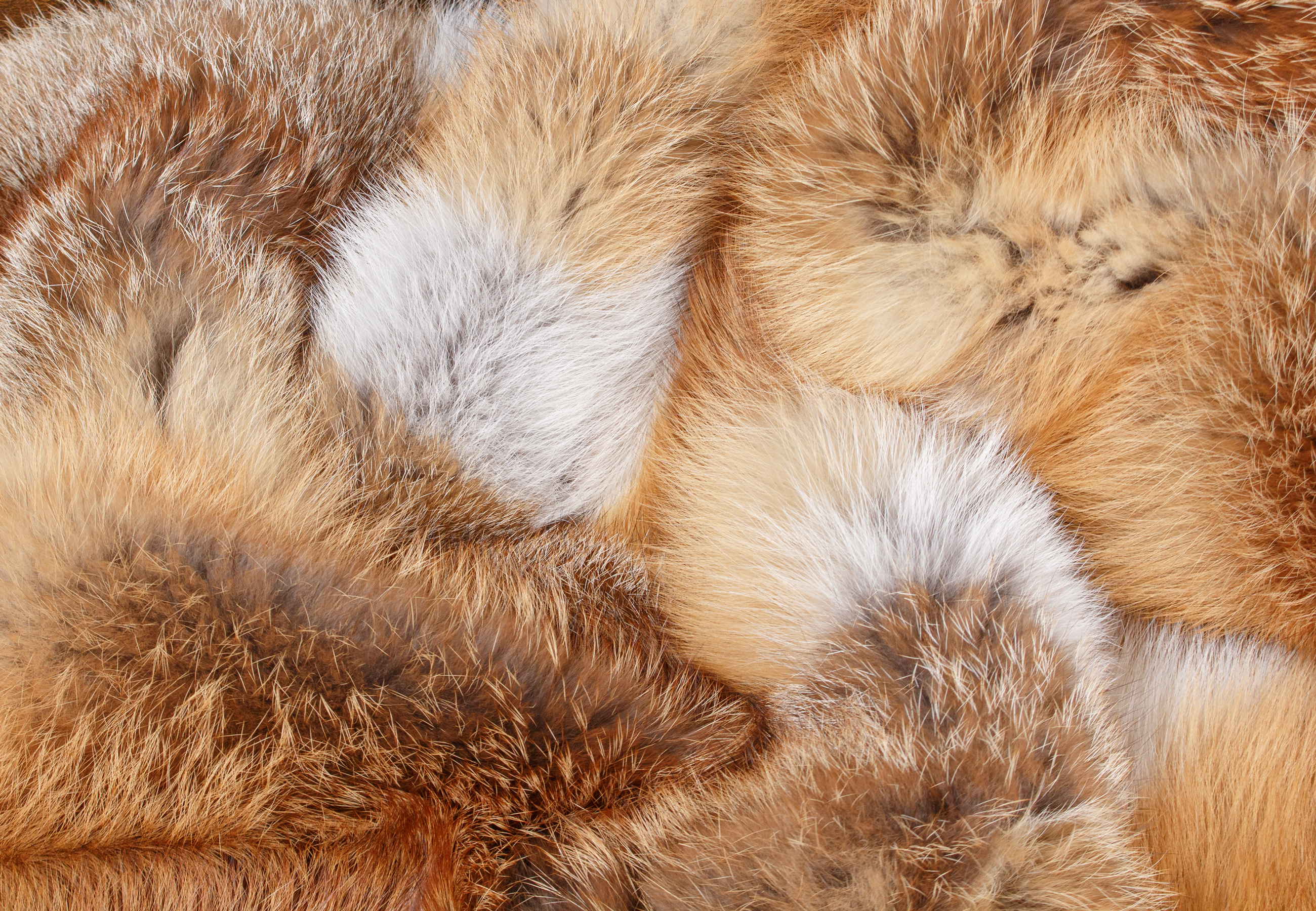 Premium Fur Plaid made from European Red Foxes Premium Fur Plaid made from European Red Foxes