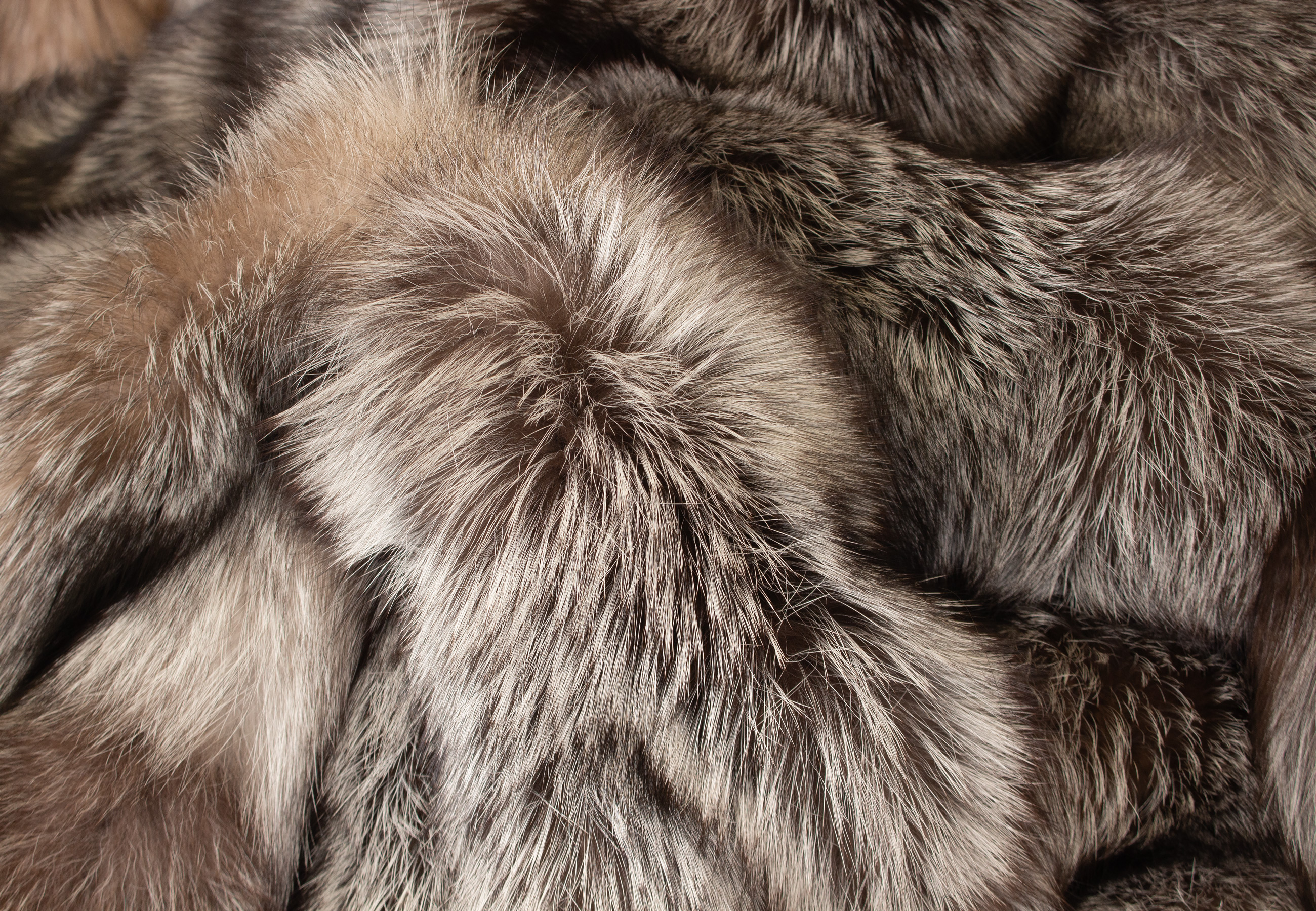 Silver Fox Fur Blanket - Brown Type