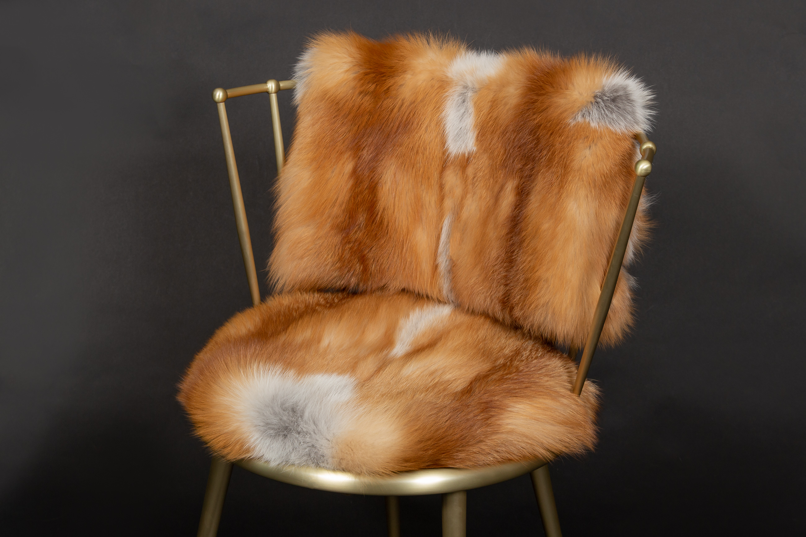 Red Fox Chair from European Foxes
