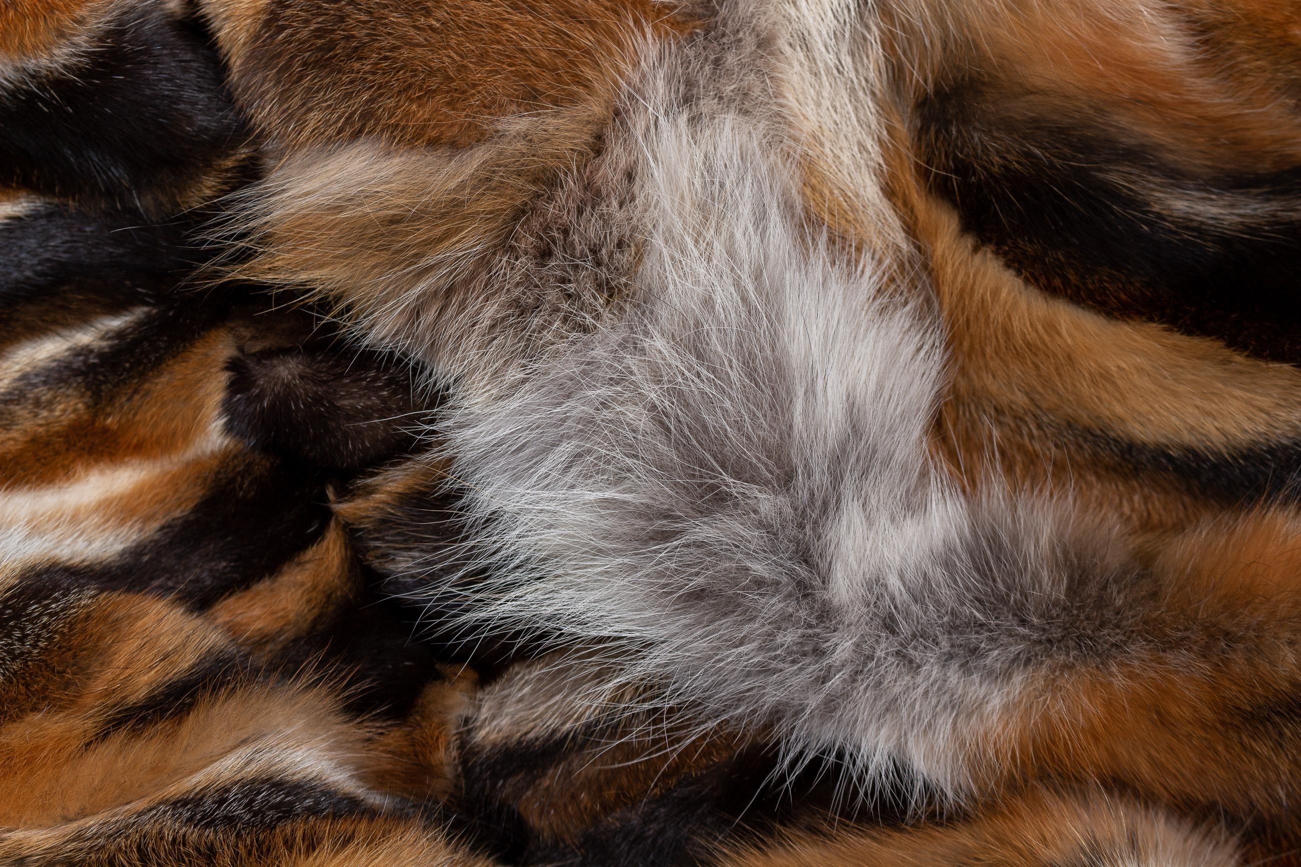 European Red Fox Fur Throw "Dark Type"