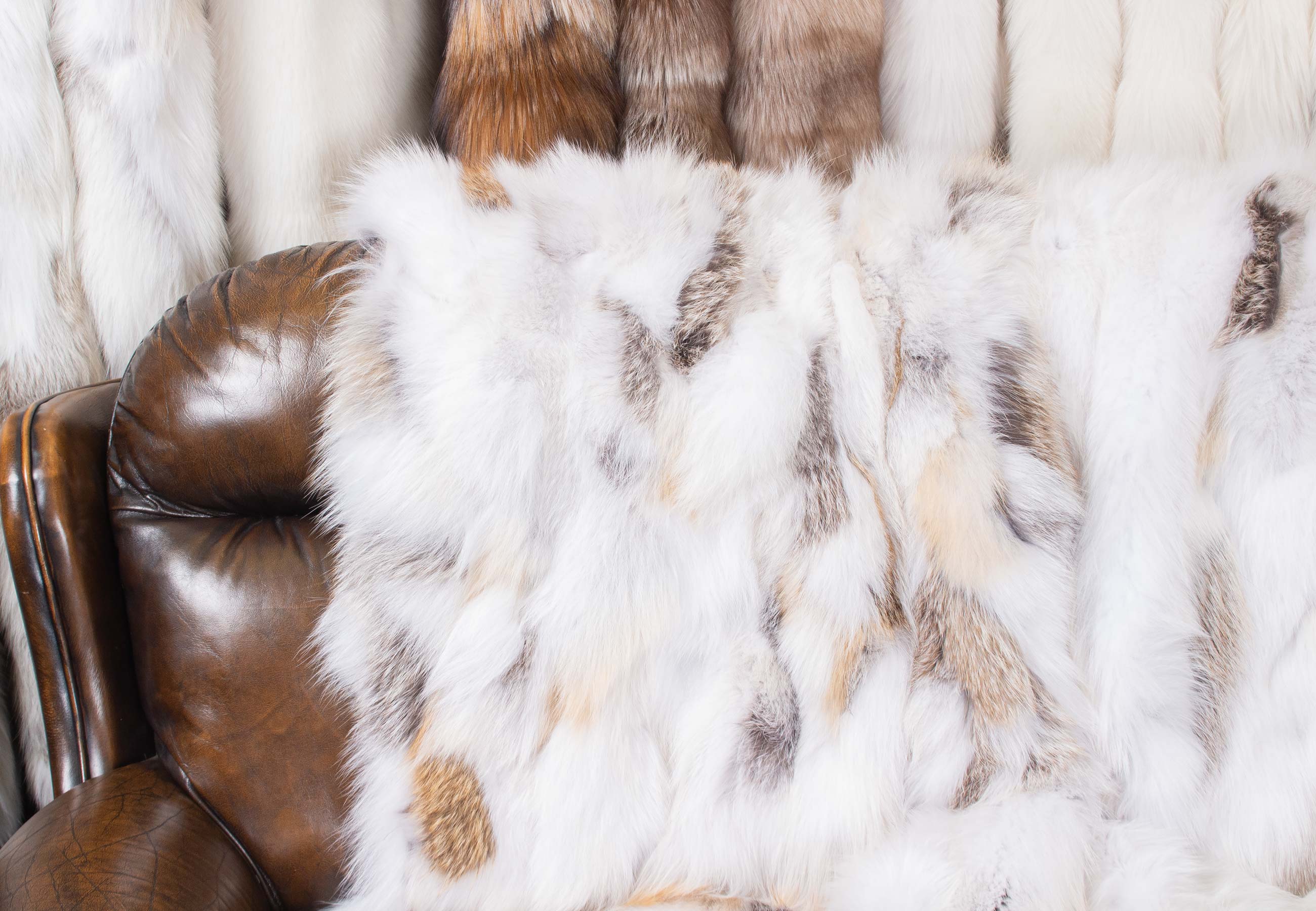 Fawnlight Fox Sides Fur Blanket