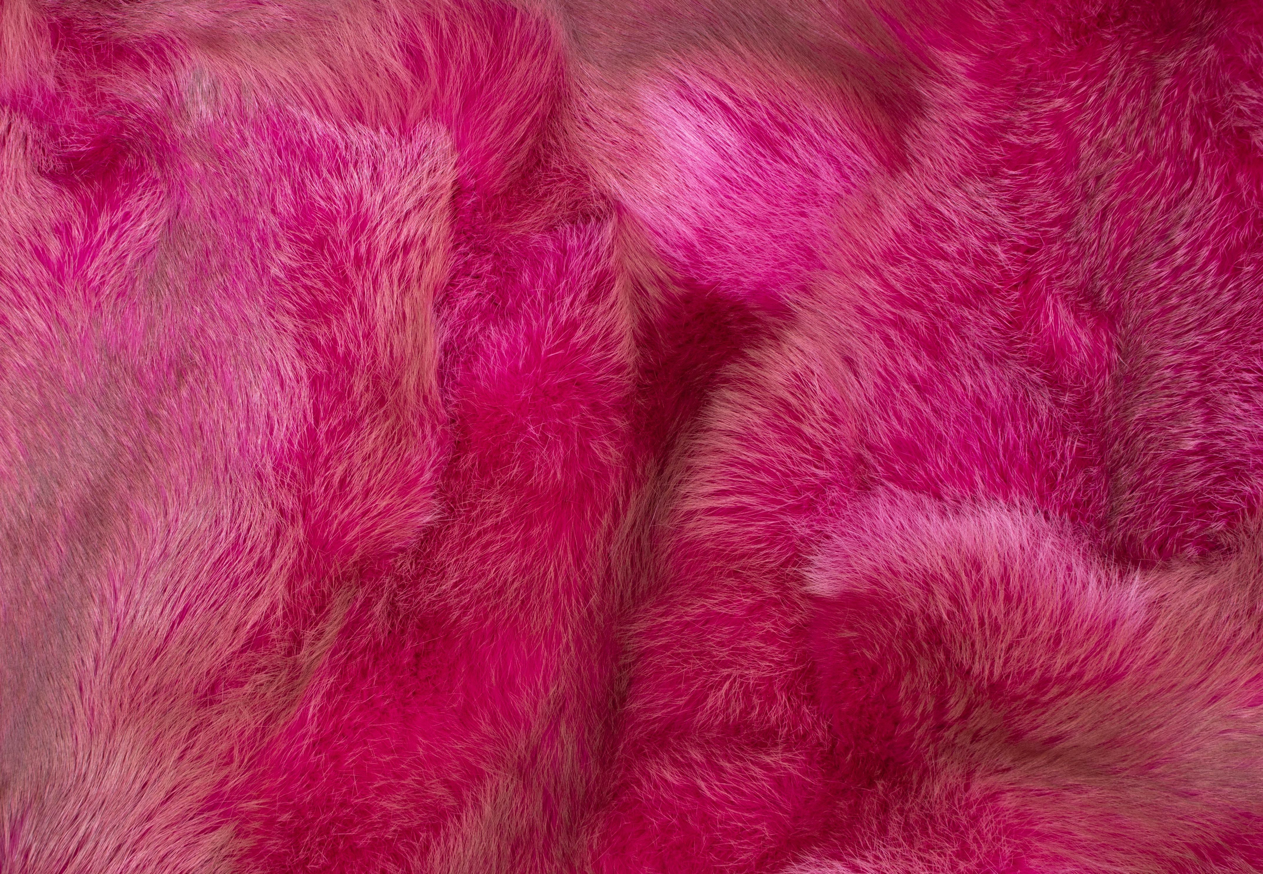 European Red Fox Fur Rug in purple