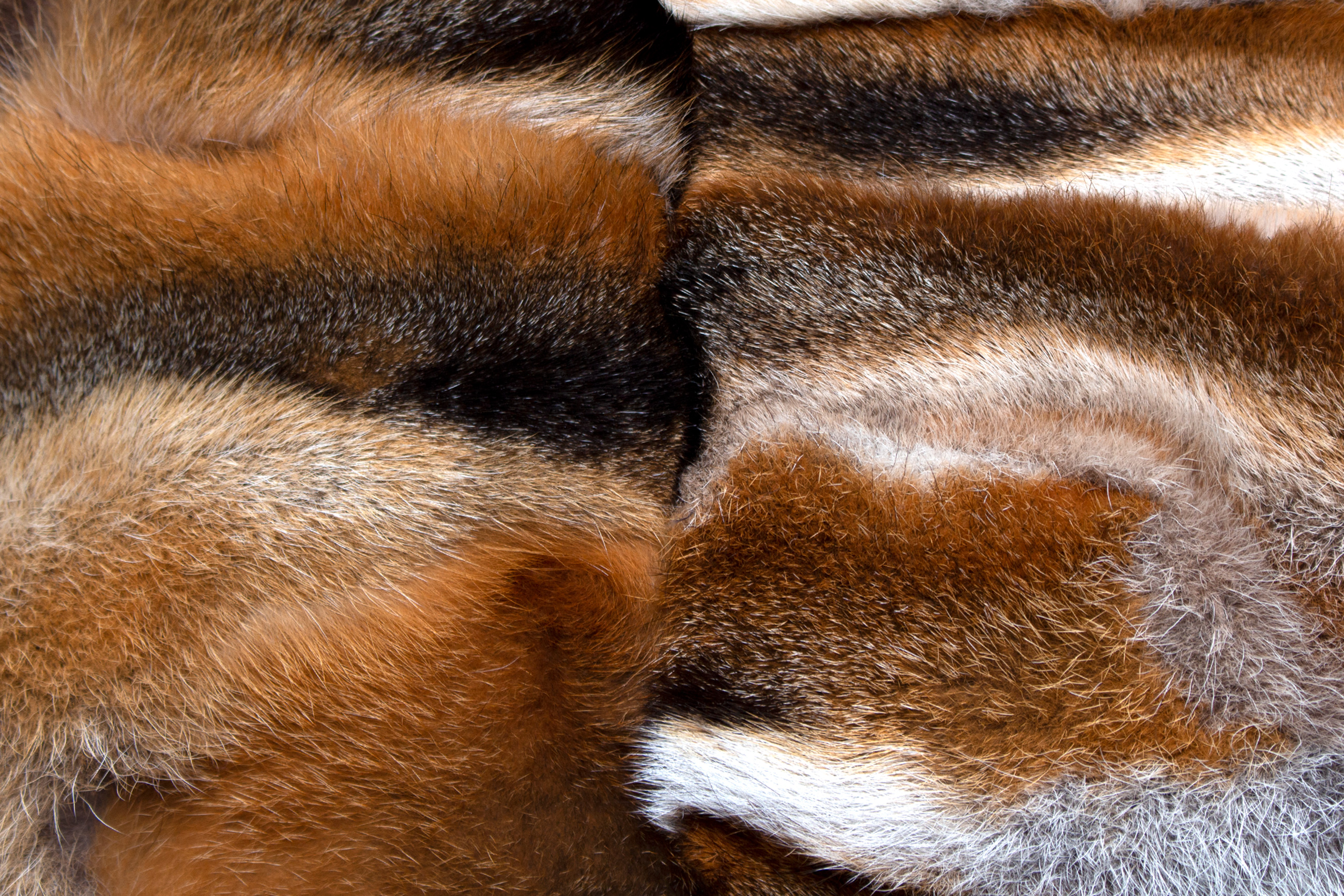 European Red Fox Sides Fur Pillow - Fur on both sides