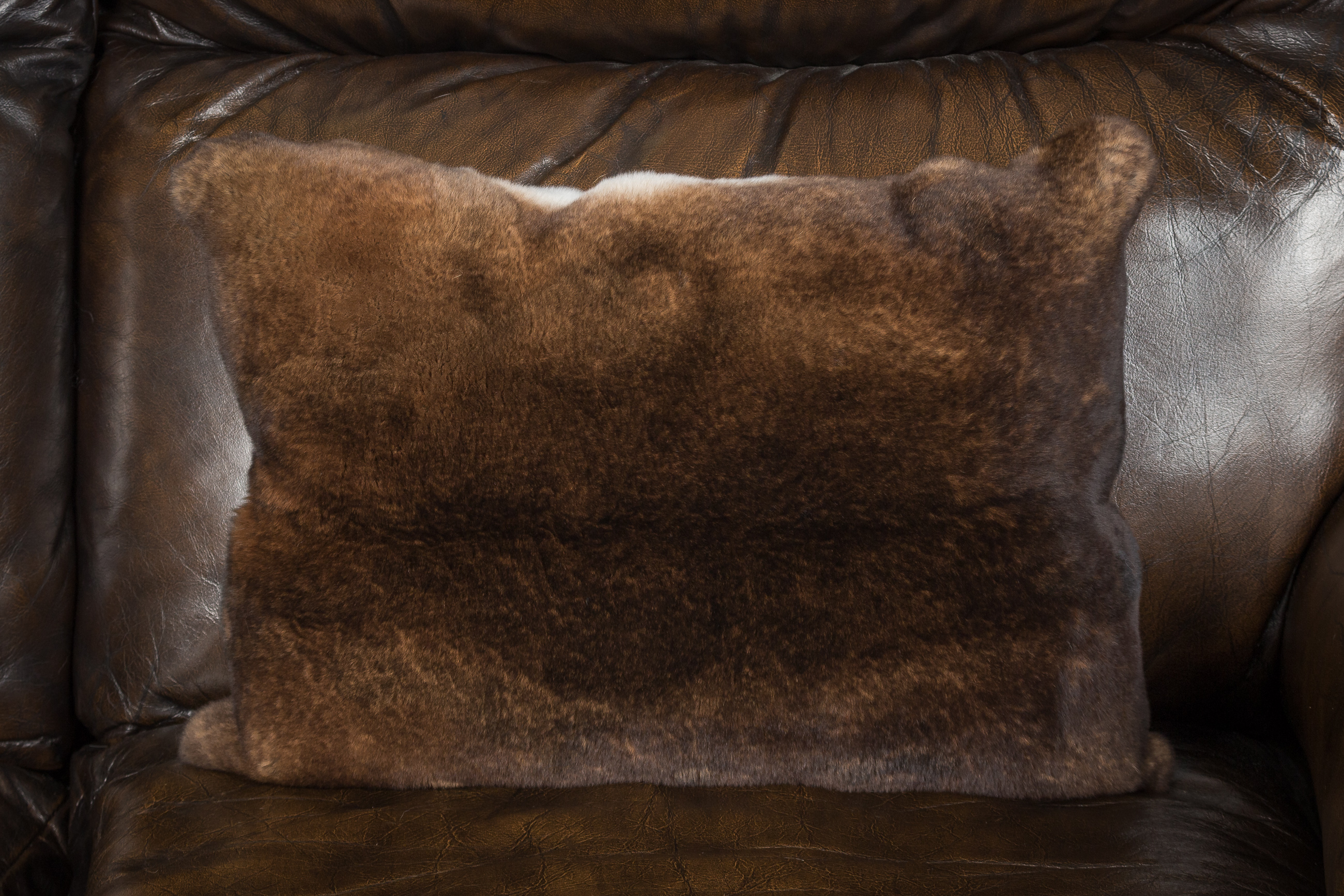 1-1377-Flauschiges-Castor-Rex-Kaninchen-Kissen Soft Castor Rex Rabbit Fur Cushion