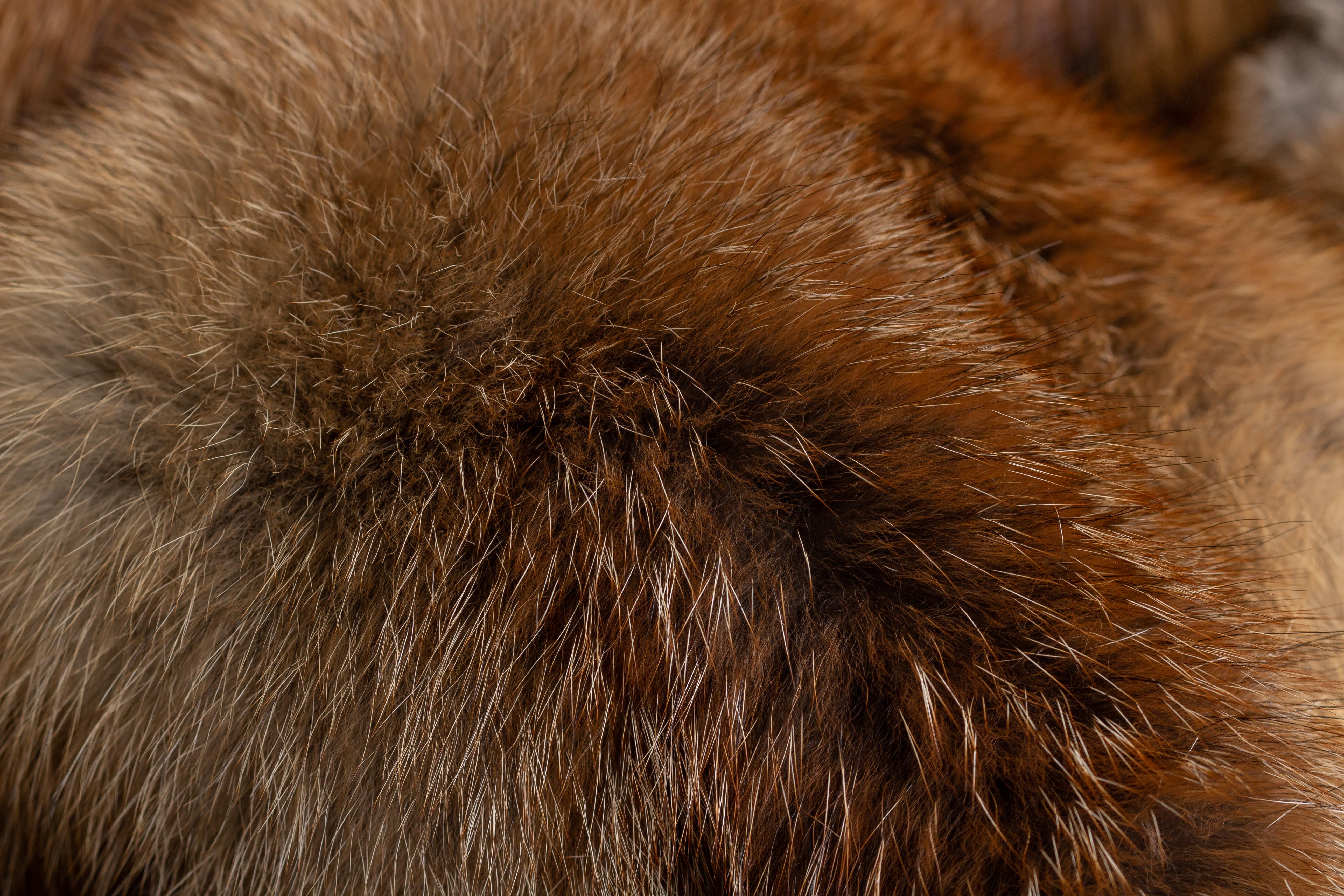 European Red Fox Fur Blanket