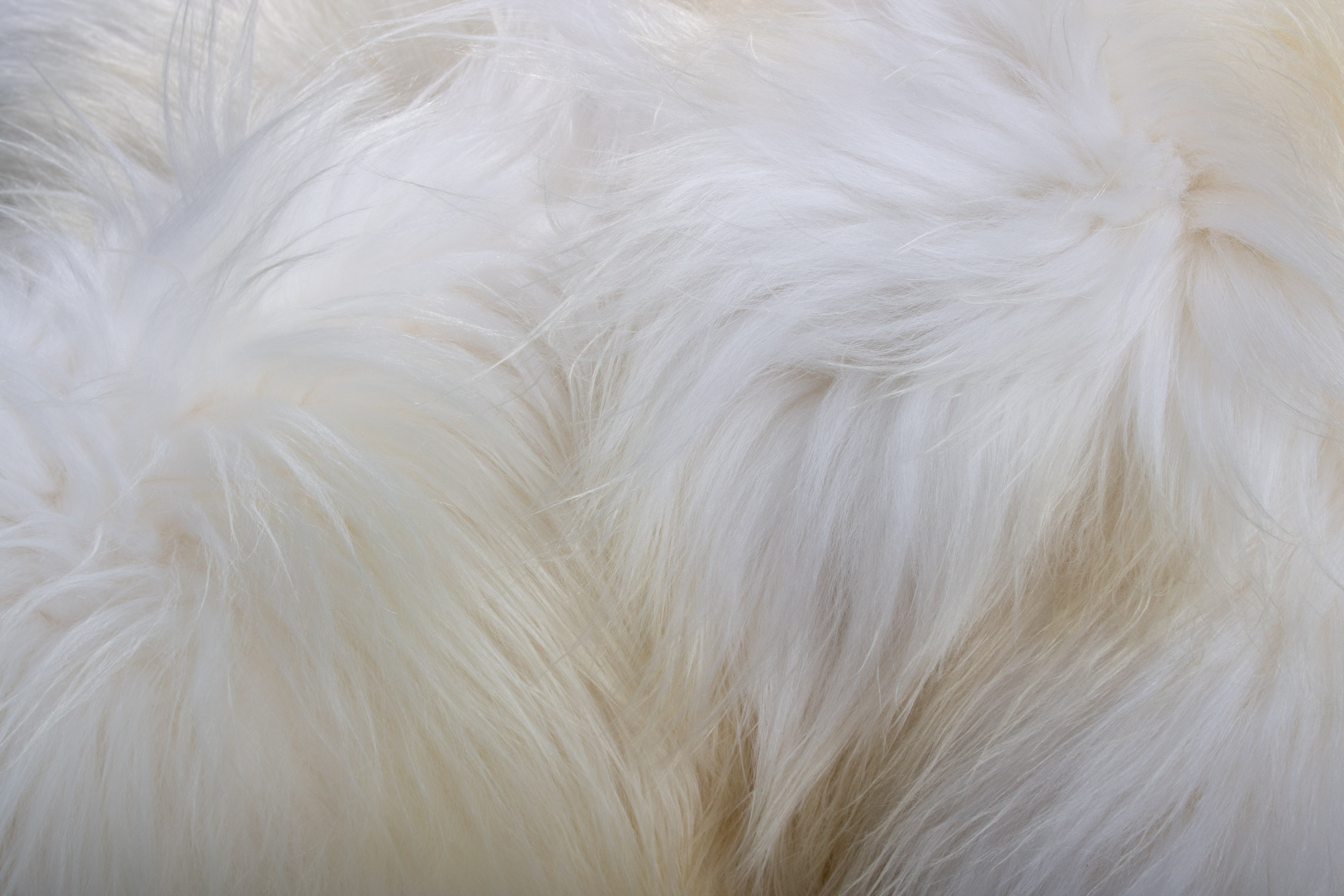 Nordic Lamb Fur Carpet in White