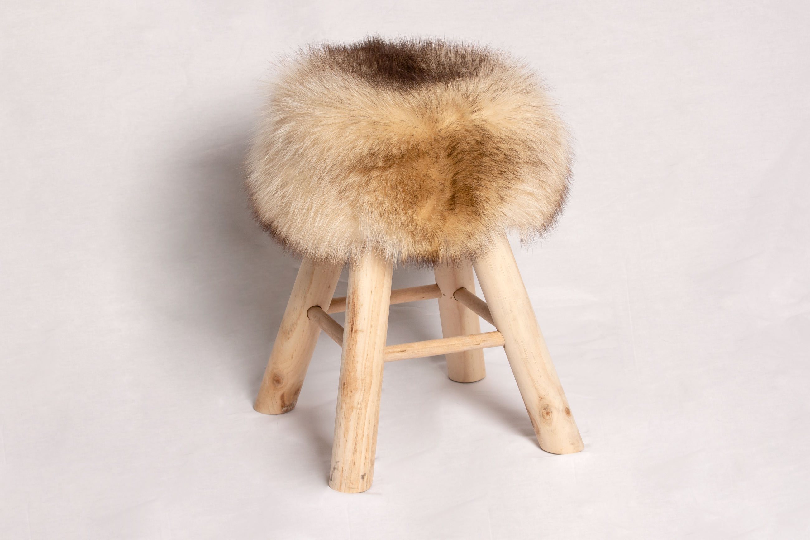 Canadian Raccoon Sitting Chair with Pine-Wood