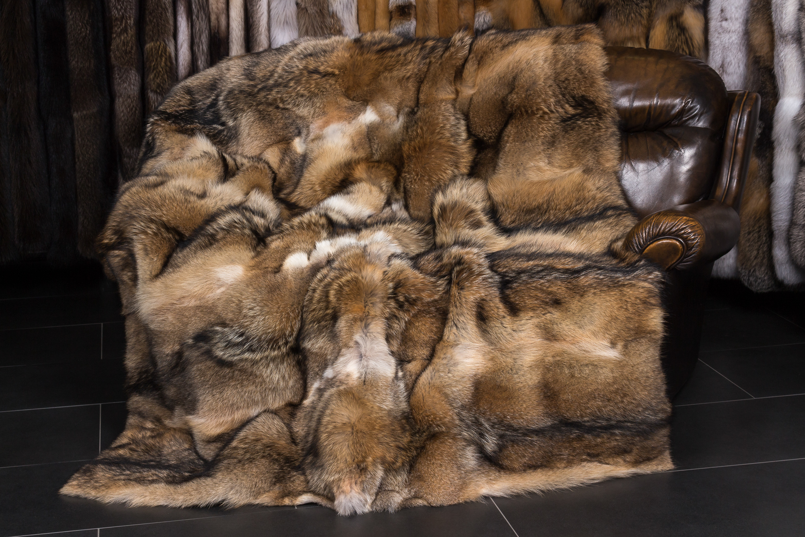 Canadian Coyote Blanket