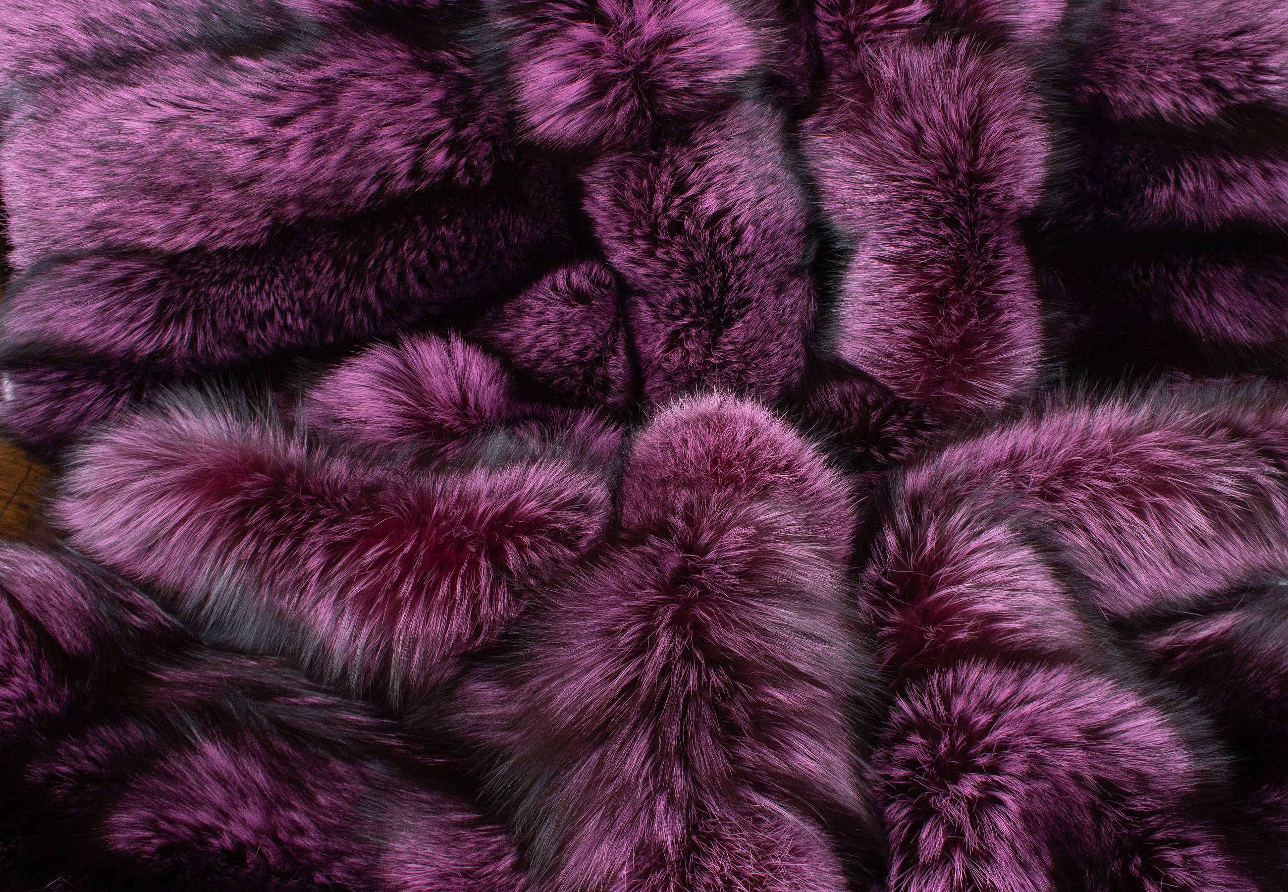 Cuddly Fur Blanket made with Silver Foxes in Purple