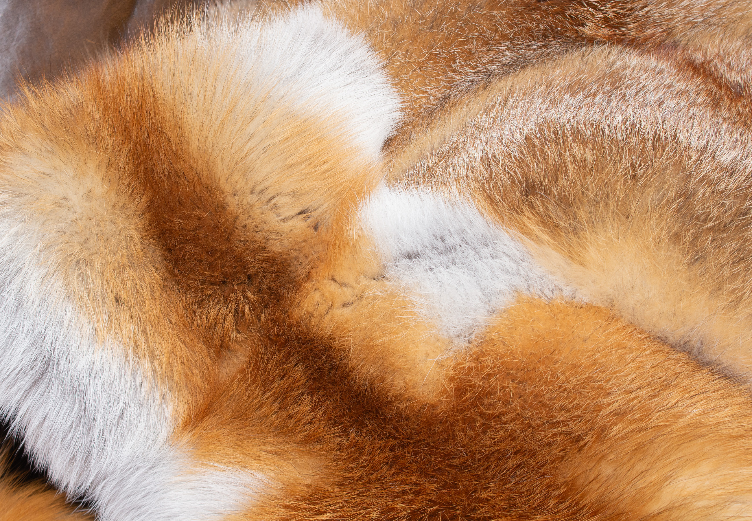 European Red Fox Fur Plaid