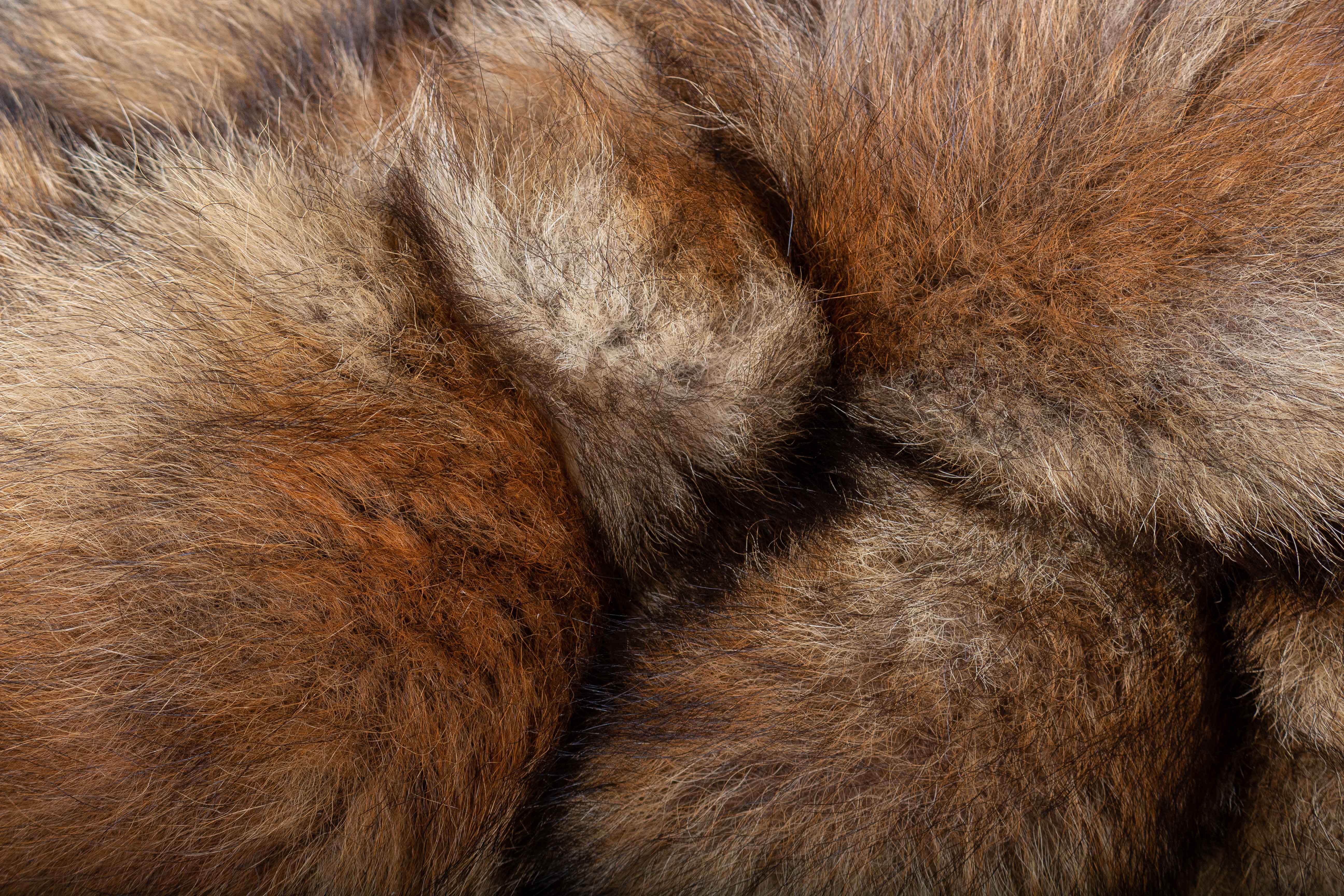 Decorative Red Fox Fur Cushion - Wild Fur