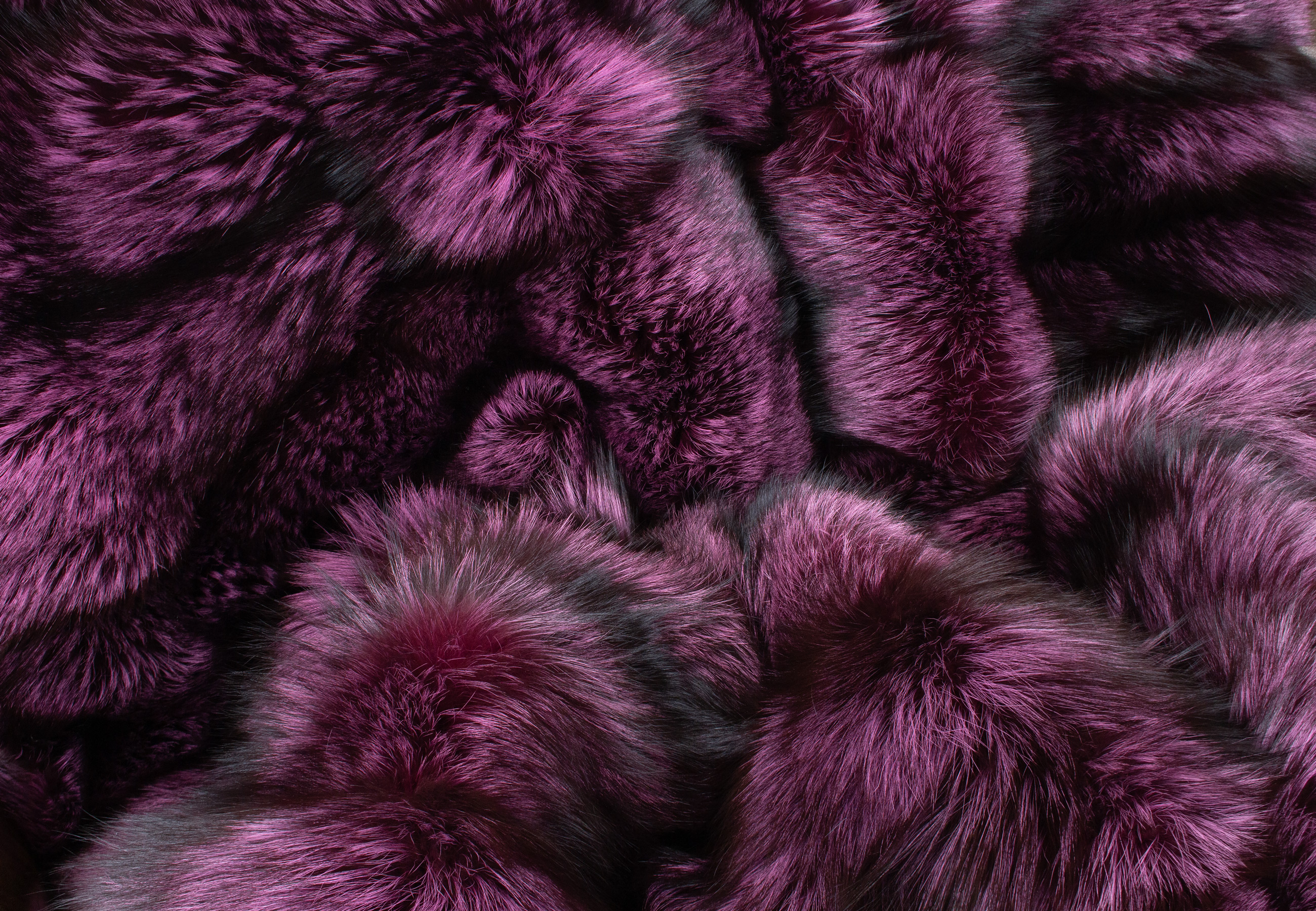Cuddly Fur Blanket made with Silver Foxes in Purple