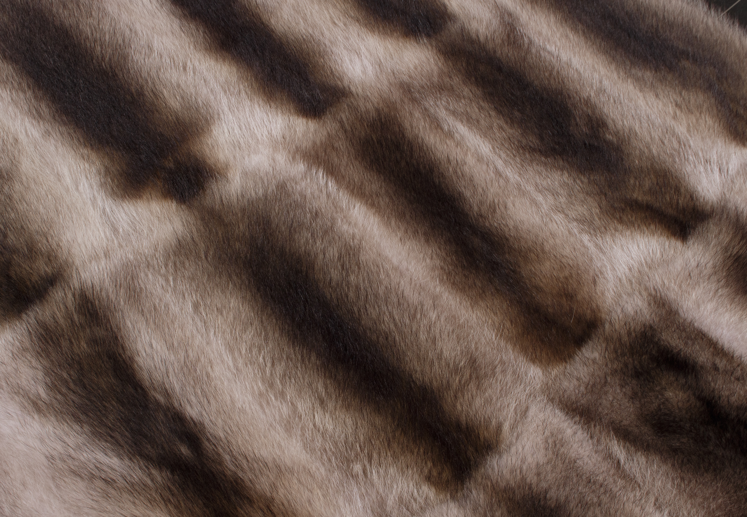 Canadian Raccoon Fur Carpet in Beige