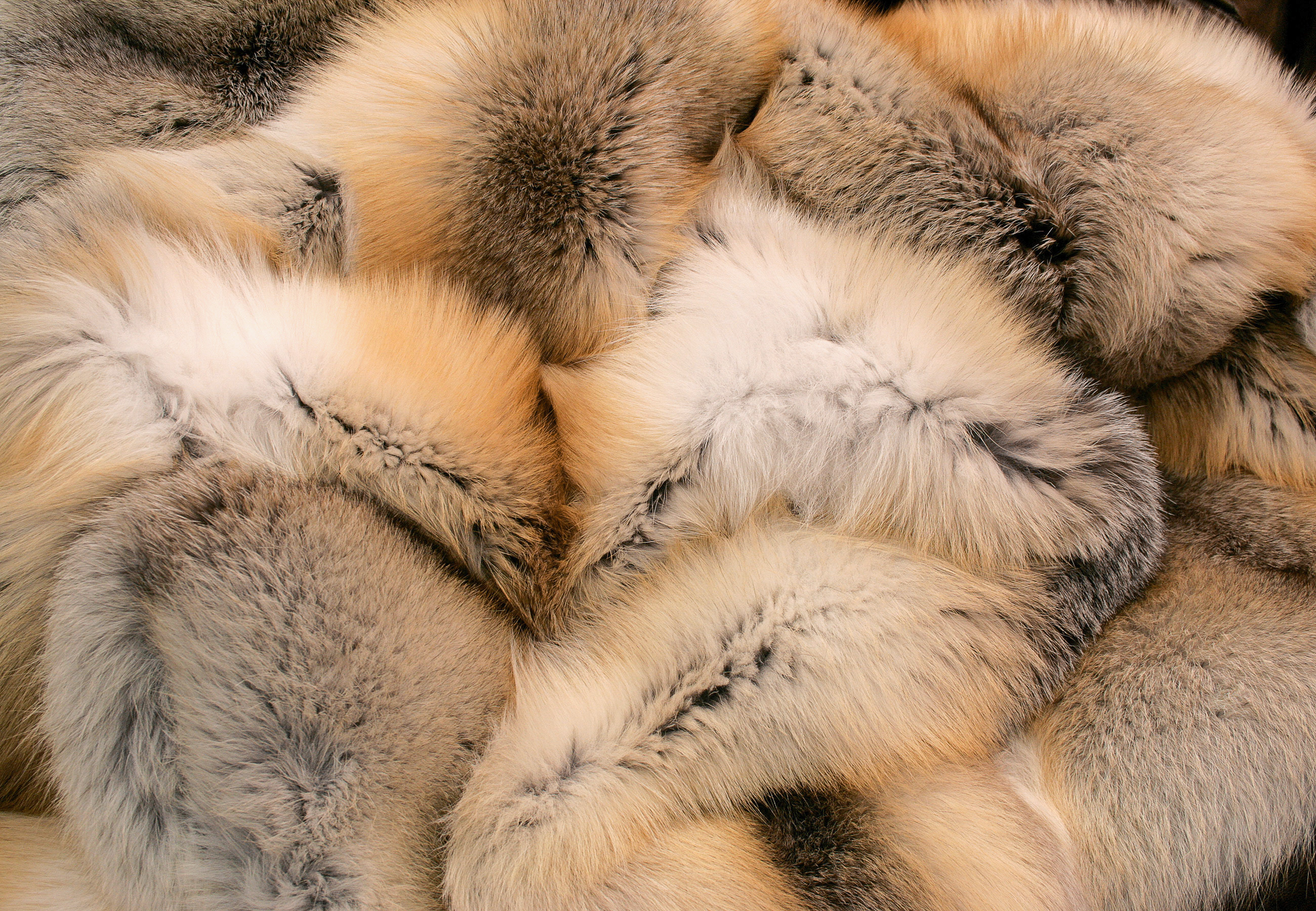 Golden island fox fur blanket - SAGA quality