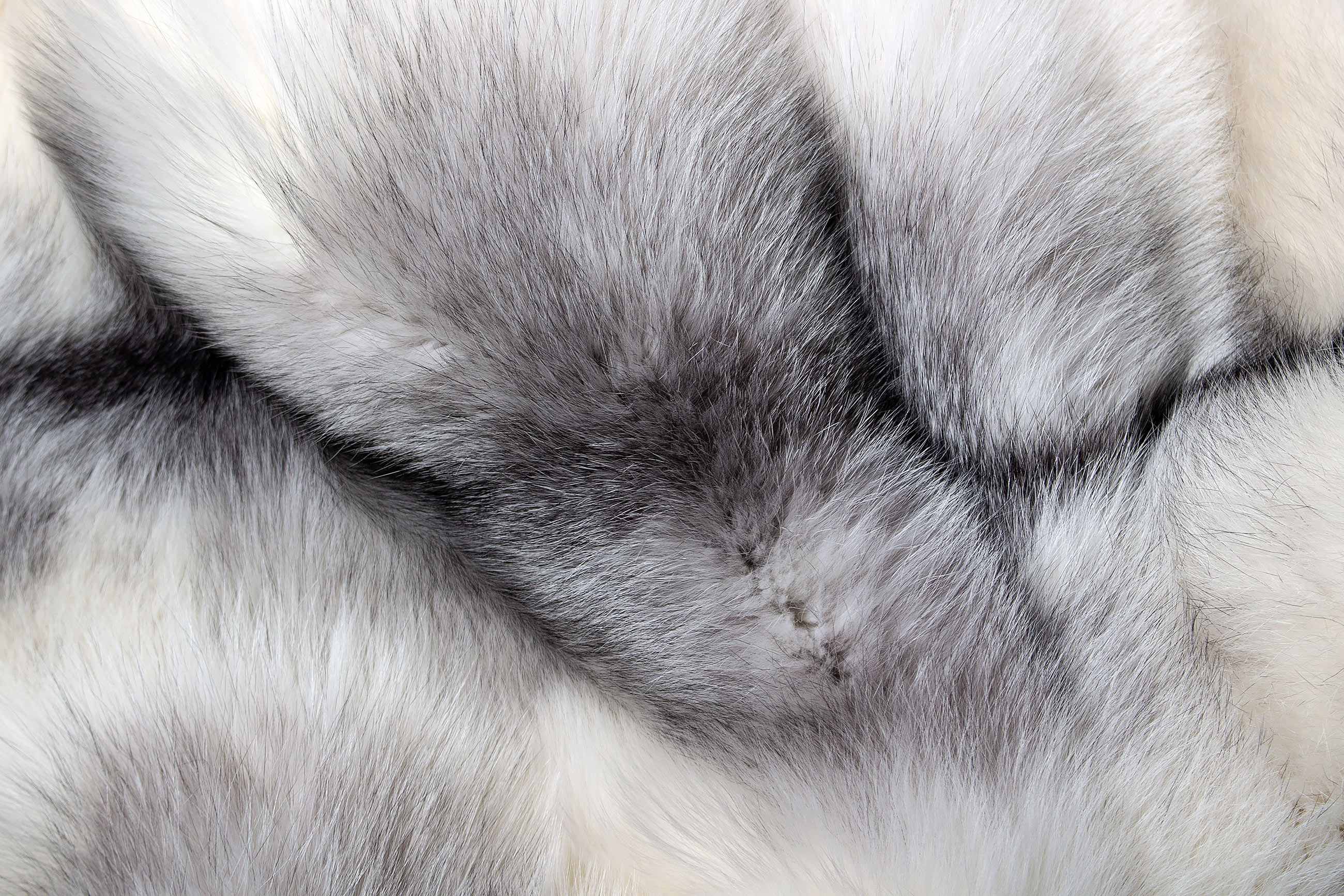 Shadow Blue Frost Fox Fur Rug - Genuine Fur