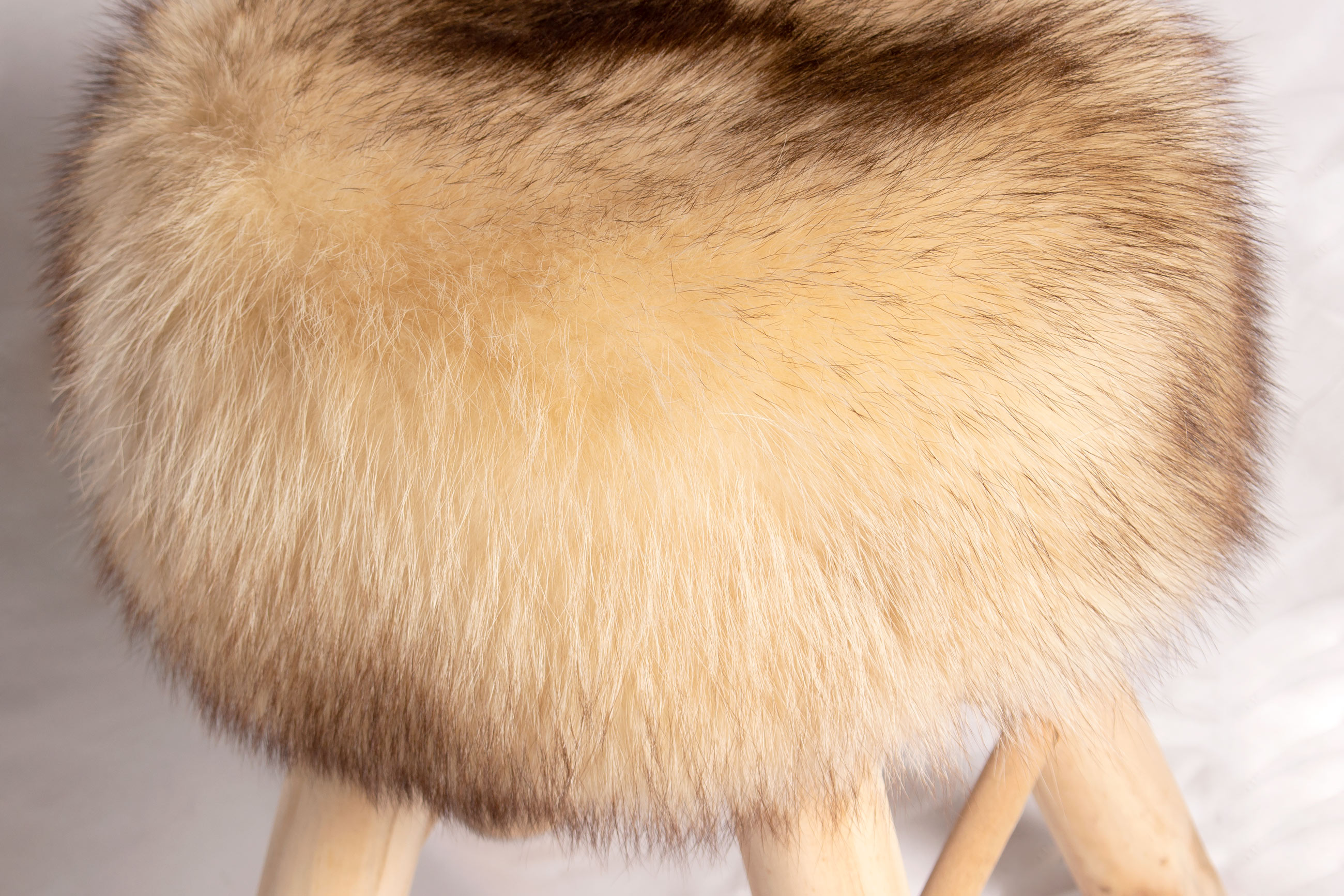 3-2818-kanadischer-Waschb-r-Pinienholz-Sitzhocker-Lars-Paustian Canadian Raccoon Sitting Chair with Pine-Wood