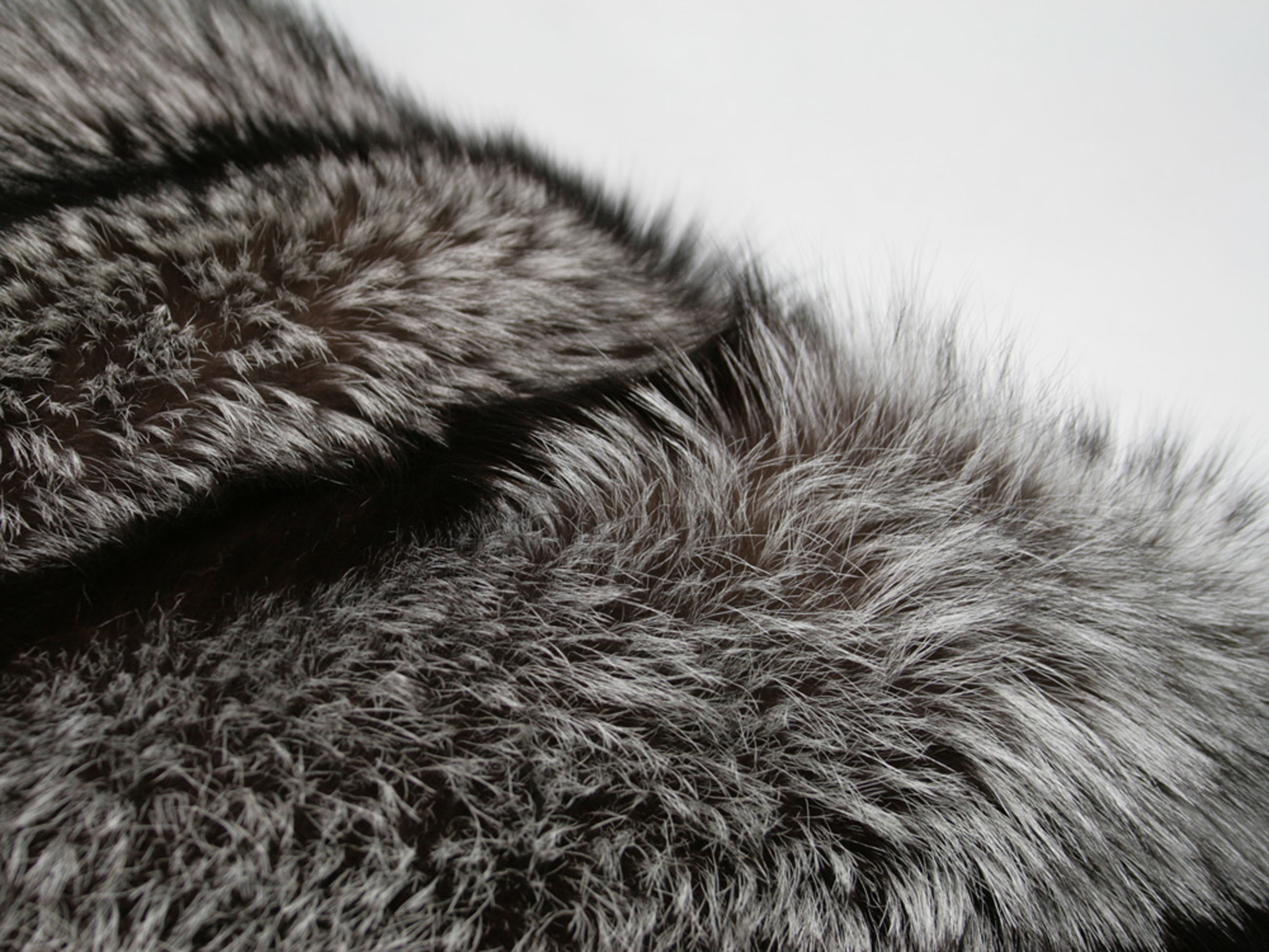 Silver fox fur pillow with - SAGA