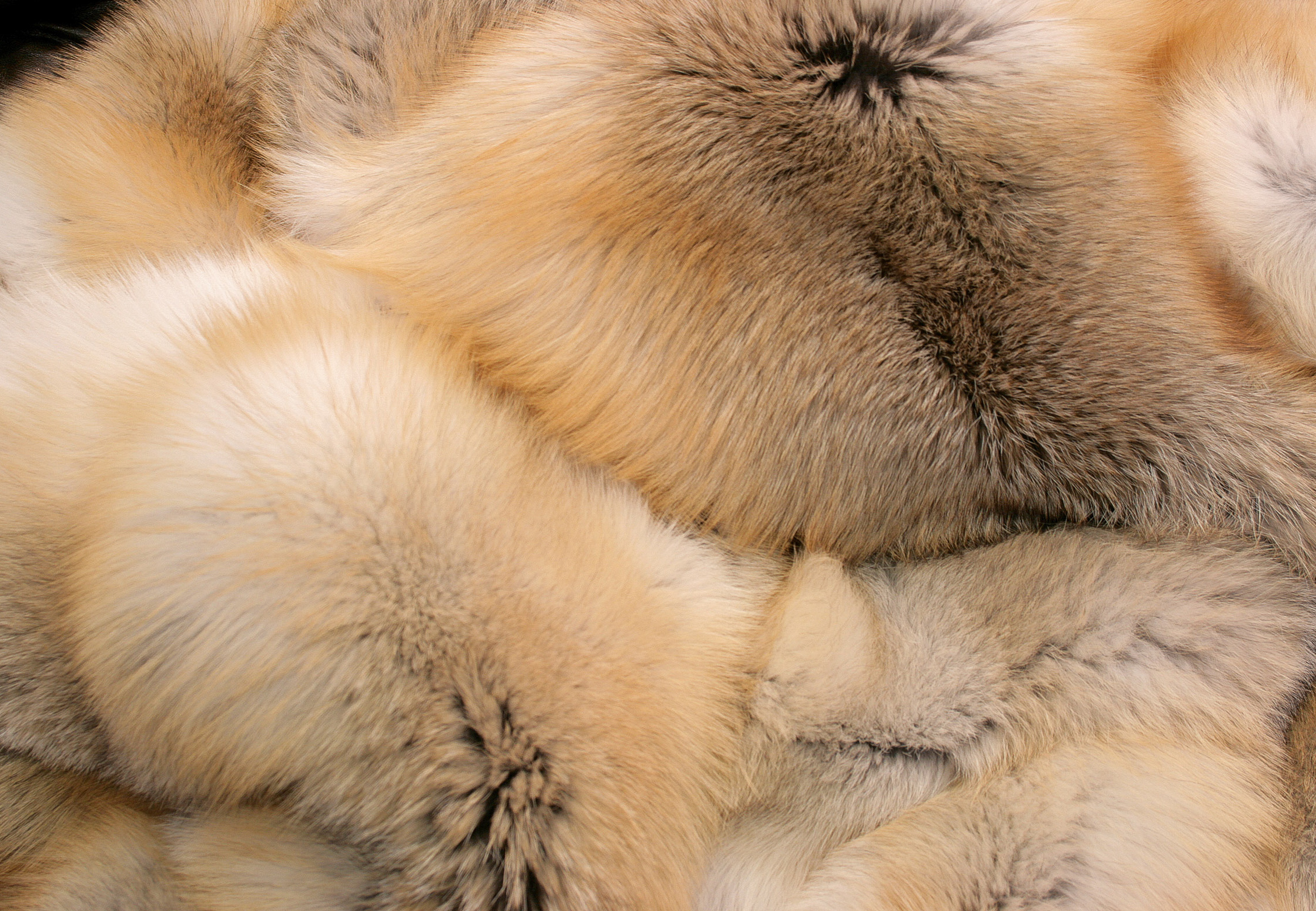Golden island fox fur blanket made from first class SAGA furs We would glad...
