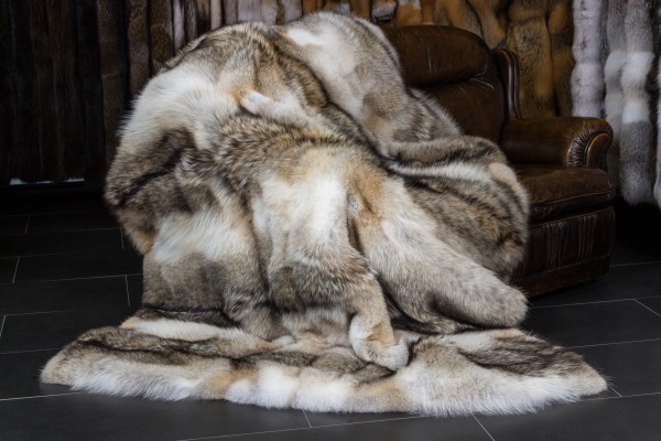 Canadian Coyote Fur Throw - "Top Lot Award"
