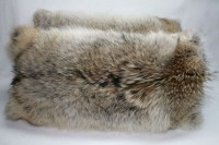 Coyote canadiense - almohada de piel - doble cara