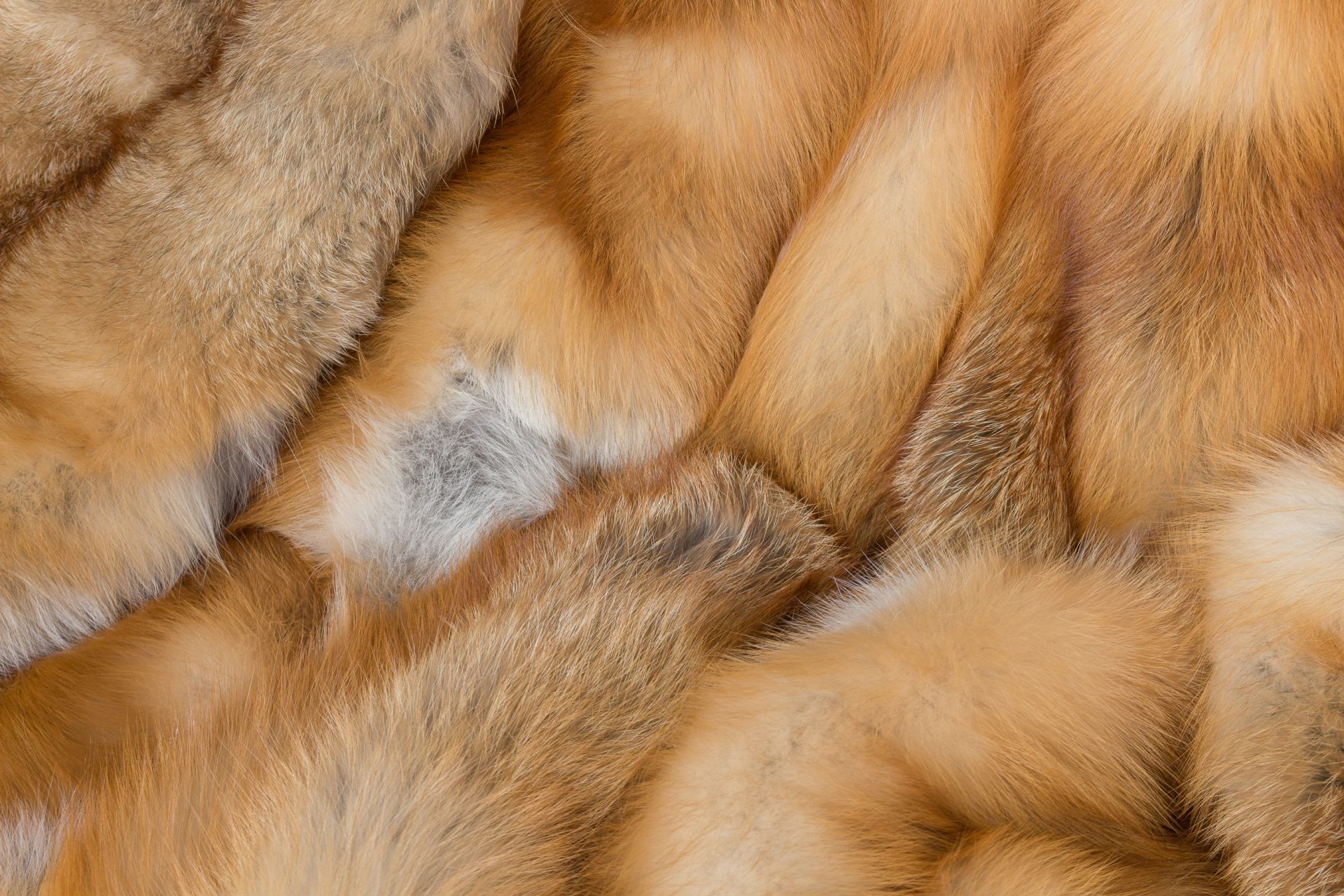 Canadian red fox fur blanket classic style