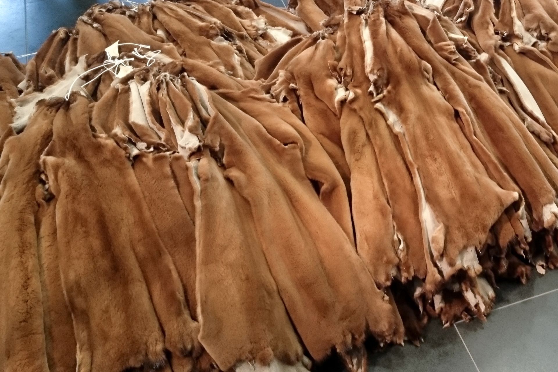 Luxurious Mink Wall Fur Wallpaper made of Real Mink