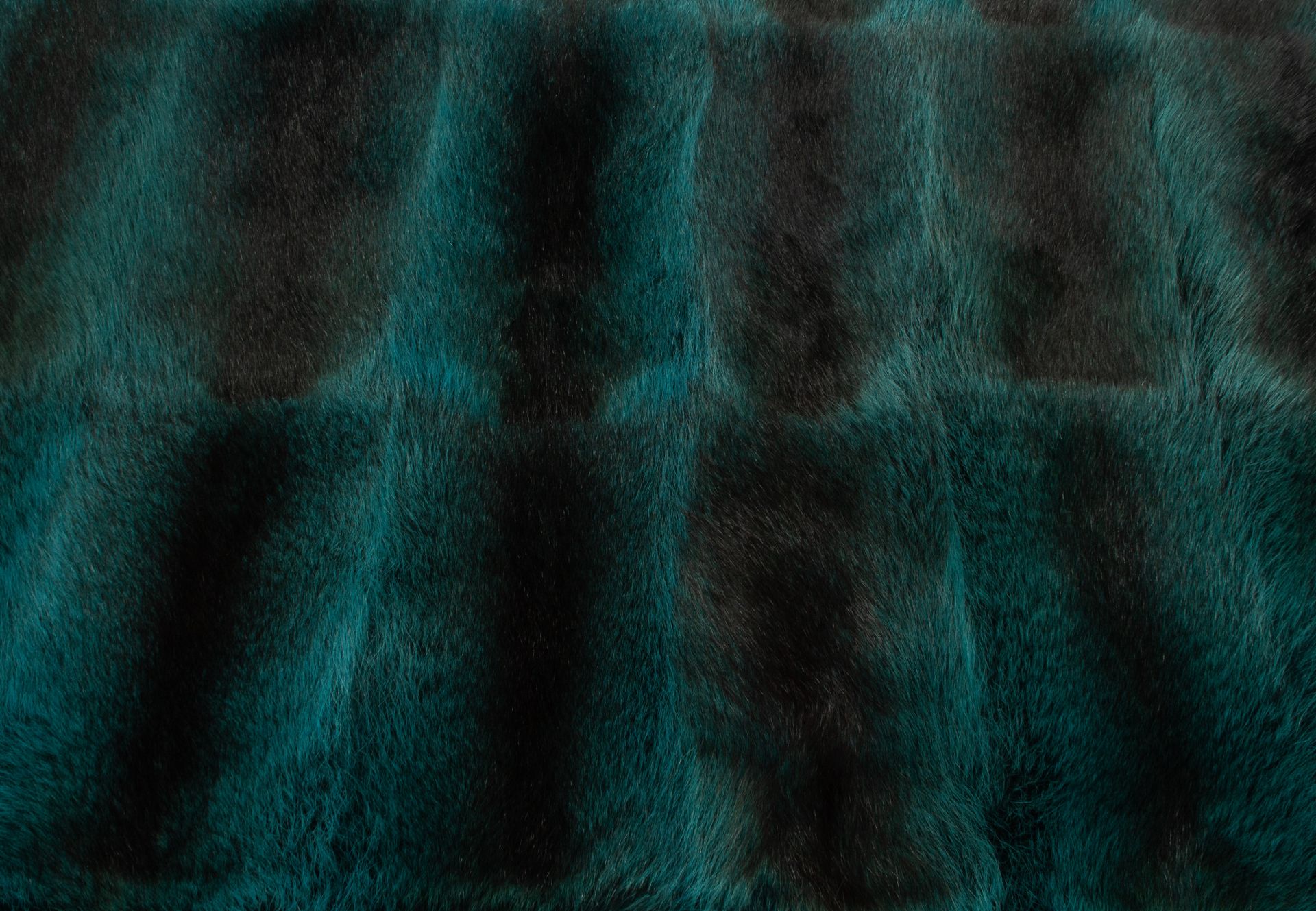 Canadian Raccoon Fur Carpet in Turquoise - Wild Fur